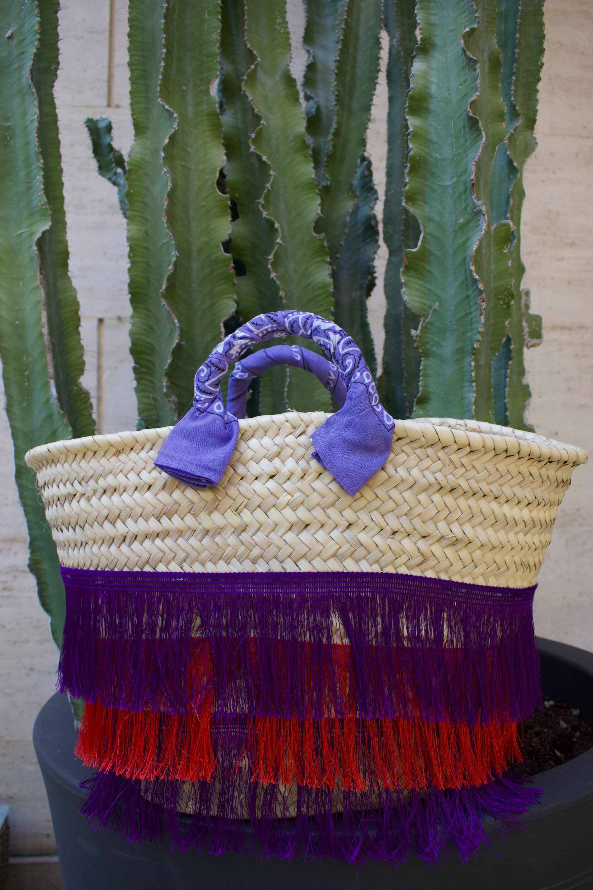frange viola e rosse(1)