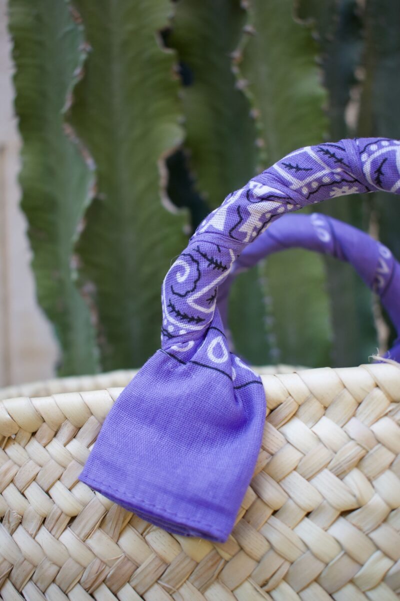 frange viola e rosse(2)